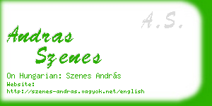 andras szenes business card